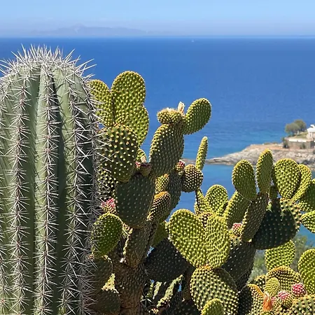 Kouneli - An Exceptional Villa