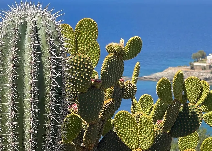 Kouneli - An Exceptional Villa